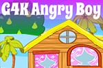 play Angry Boy Escape