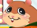 play Pet Hamster Kissing