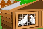 play Doves Escape