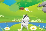 play Husky Escape