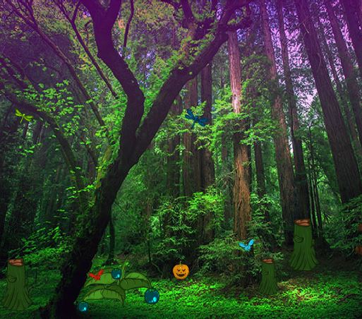 play Novel Nature Garden Escape