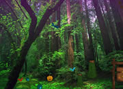 play Nature Garden Escape
