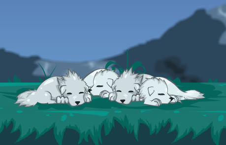 play Poket'S Mission