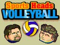 play Sports Heads: Volleyball