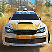 play Real Rally Revenge