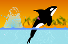 play Blackfish