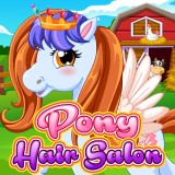 play Pony Hair Salon