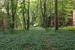 Mysterious North Brother Island Escape