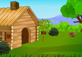 play Storm Shed Boy Escape