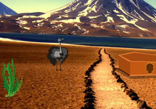 play Tropican Desert Escape