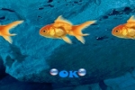 play Umeko Sea Escape