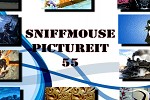 play Sniffmouse Pictureit 55