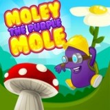 play Moley The Purple Mole
