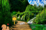 play Nature Forest Escape