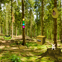 play Summer Forest Escape