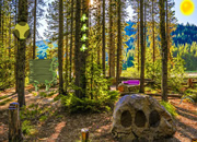 play Summer Forest Escape