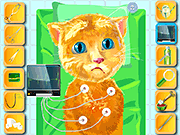 play Ginger Heart Surgery