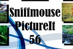 play Sniffmouse Pictureit 56