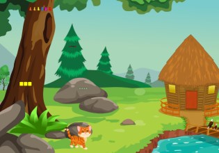 play Escape From Forest River