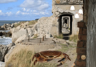 play Mysterious Fort