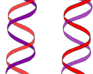 play Dna Quiz