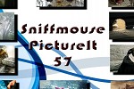 Sniffmouse Pictureit 57