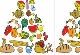 play Food Pyramid Difference World