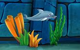 play My Dolphin Show 7