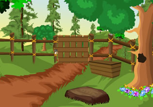 play Noon Forest Escape