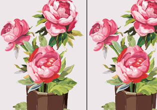 play Gouache Flowers Difference World
