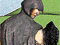 play Tainted Olive: Chapter 1