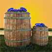 play Vineyard Escape