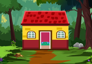 play Money Escape From House
