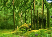 play Forest Lion Escape