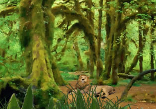 play Forest Lion Escape