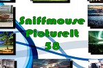 play Sniffmouse Pictureit 58
