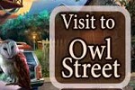 play Visit To Owl Street