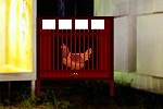 play Dove Escape From Cage
