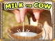 play Milk The Cow Game