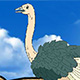 play Super Ostrich Simulator