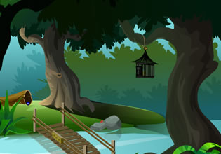 play Cage Parrot Escape