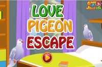 Love Pigeon Escape