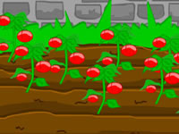 play Locked Garden Escape