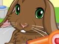 play Pet Bunny Kissing