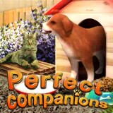 play Perfect Companions