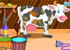 Holstein Cow Care game