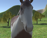 play Horsevsspider