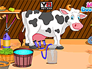play Holstein Cow Care