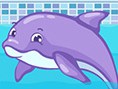 play Dolphin Slacking