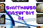 play Sniffmouse Pictureit 61
